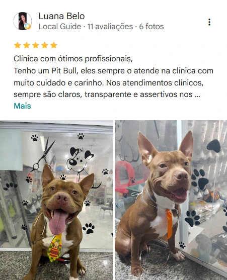 Avaliação 5 estrelas