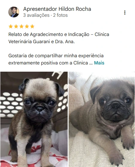 Avaliação 5 estrelas