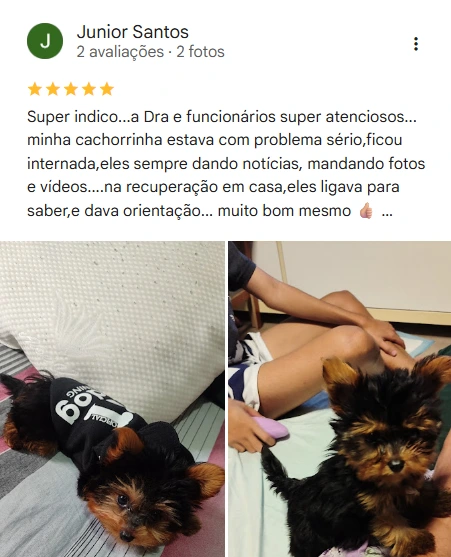 Avaliação 5 estrelas