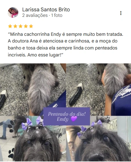 Avaliação 5 estrelas